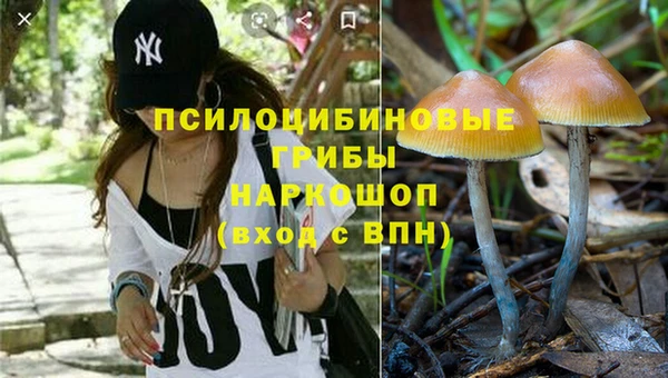 МДПВ Надым