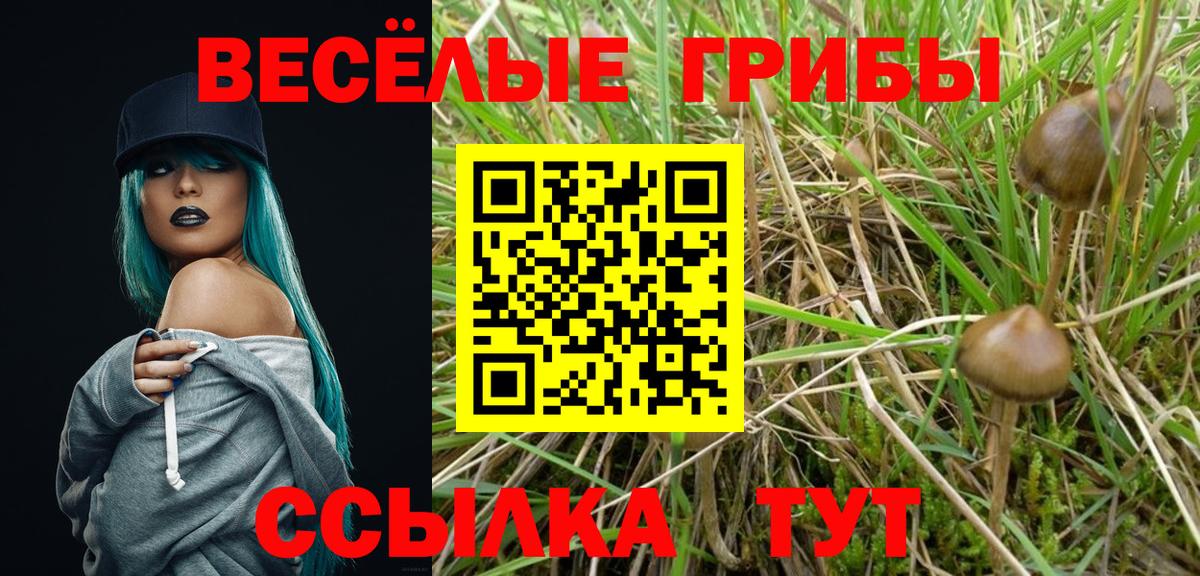 Галлюциногенные грибы мухоморы Калуга